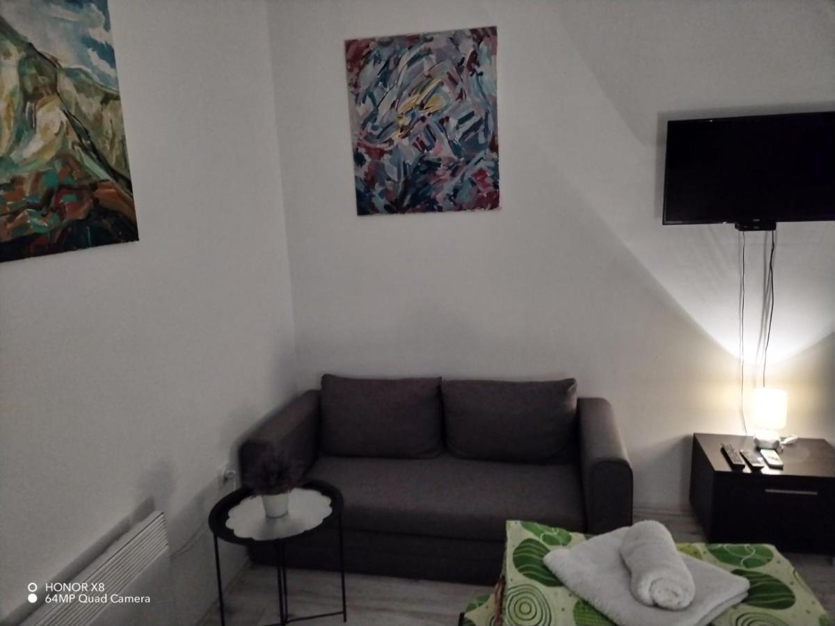 Ni Mitic Apartmani 1 מראה חיצוני תמונה